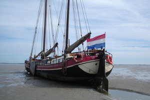 Tekstblok met veel foto's
